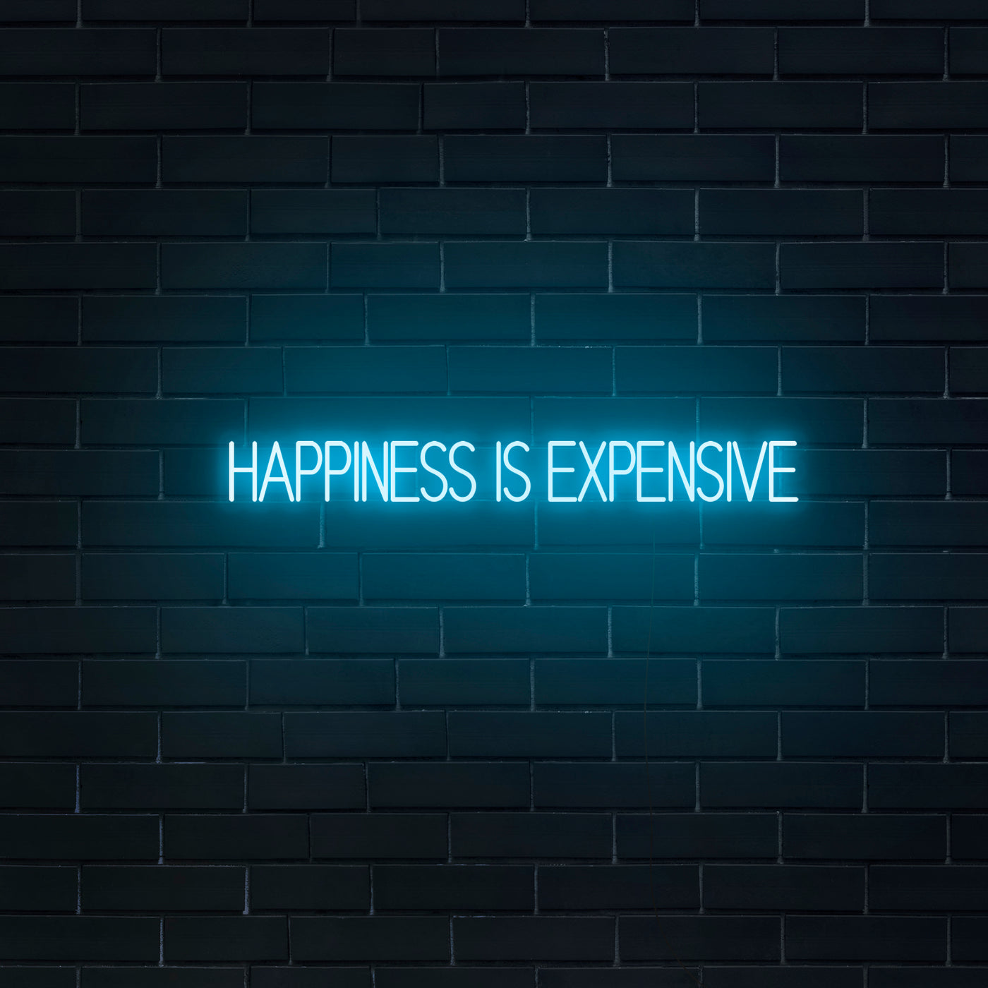 'Happiness Is Expensive' Neon Sign - Nuwave Neon