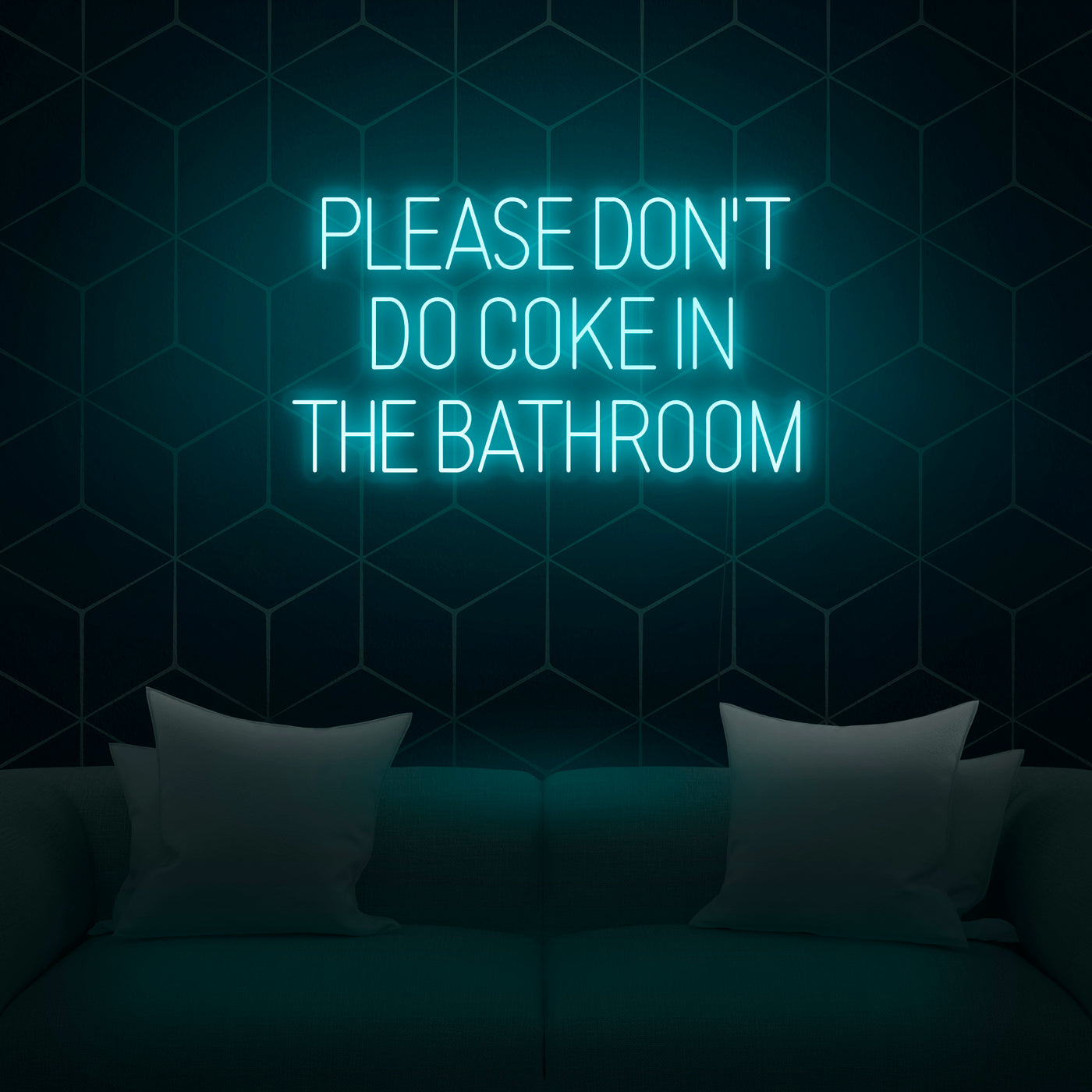 'Please Don't Do Coke In The Bathroom' Neon Sign - Nuwave Neon